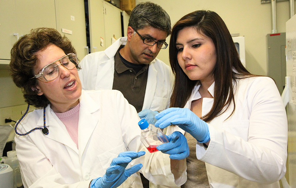 Professor Sharfstein with students in her lab