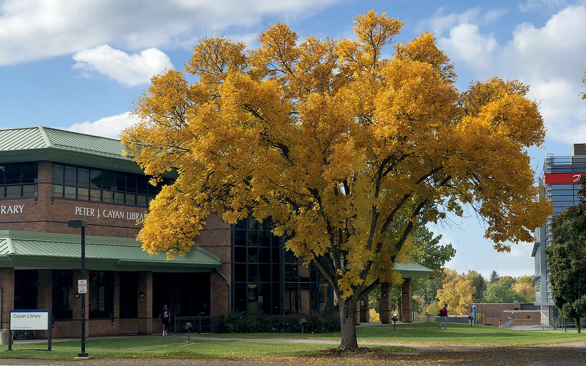 SUNY Polytechnic Institute