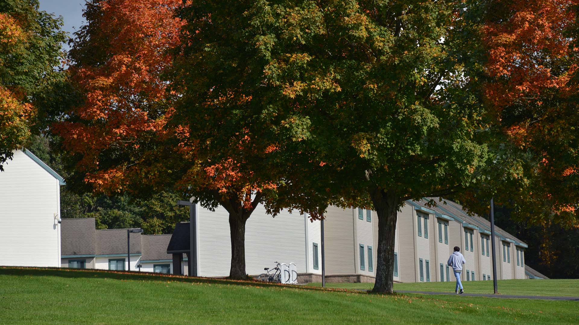 Photo of trees in the fall in front of residence halls