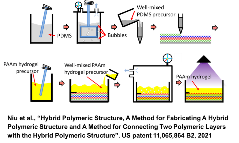 Hybrid Polymeric Stucture, A Method For Fabricating A Hybird Polymeric Structure