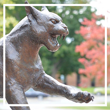 Photo of Wildcat statue