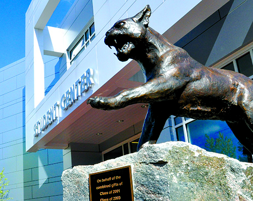Wildcat statue in front of Student Center