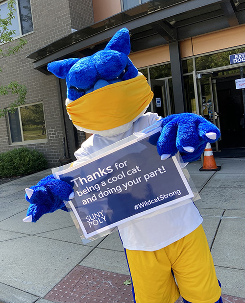 Walter the Wildcat holding a sign thanking students for doing their part in preventing COVID-19 on campus