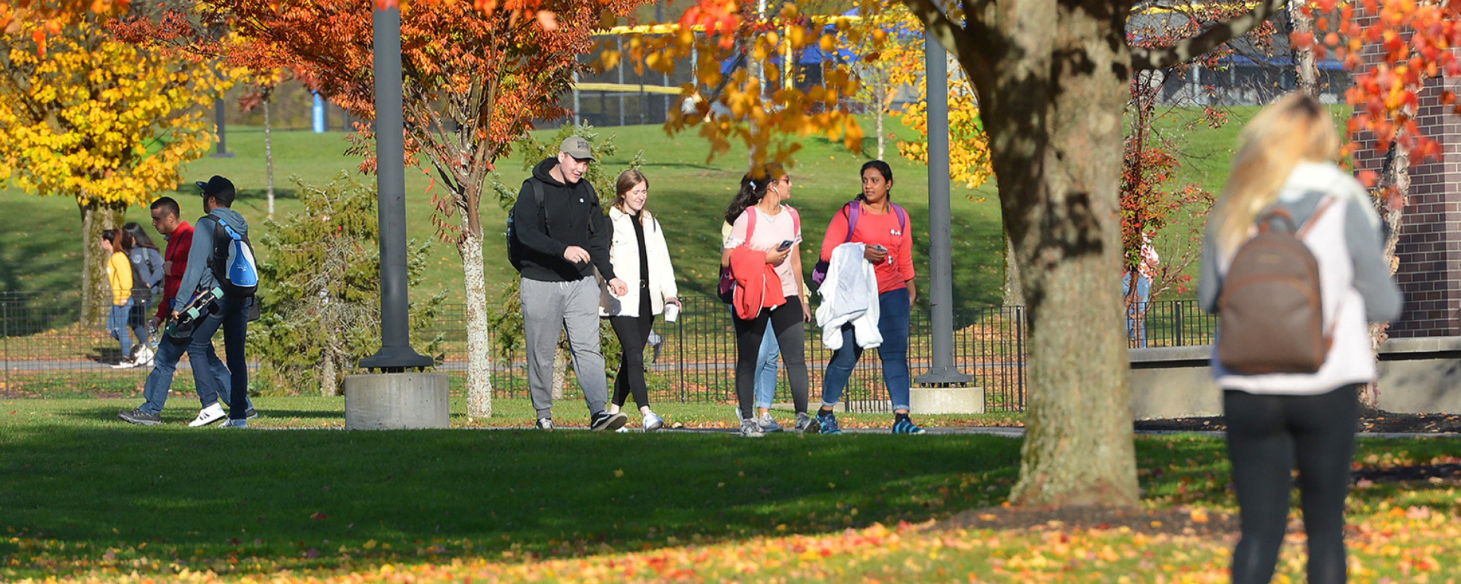 suny poly fall