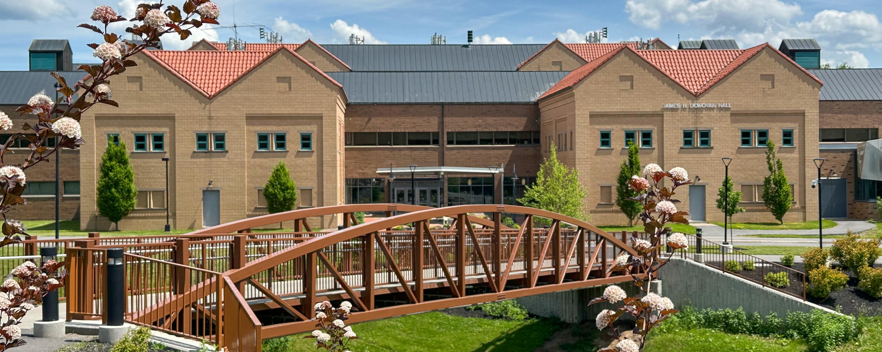 bridge