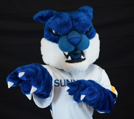 wildcat