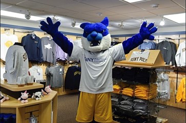 wildcat den